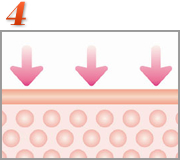 【4】脂肪細胞自体に働きかけることにより、サイズダウンを行い、リバウンドしにくい体へと導きます。